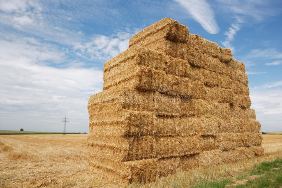 Giant Haystack