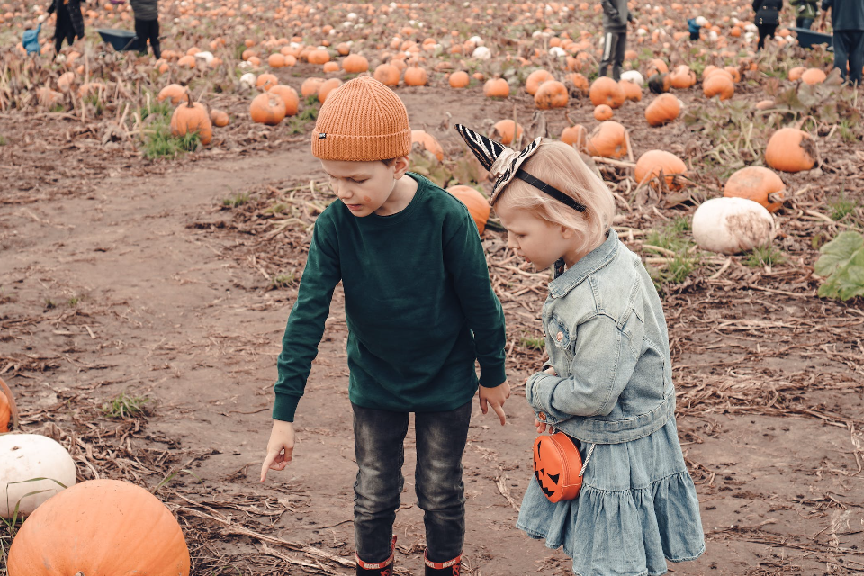 Picking Pumpkins